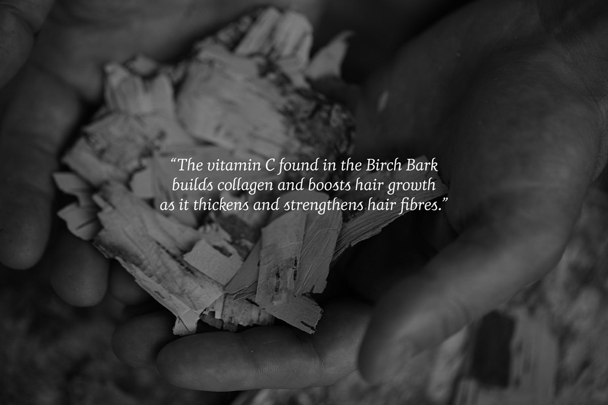 深圳VI設(shè)計 深圳VI策劃 Wise高端護理產(chǎn)品VI設(shè)計形象 場景展示