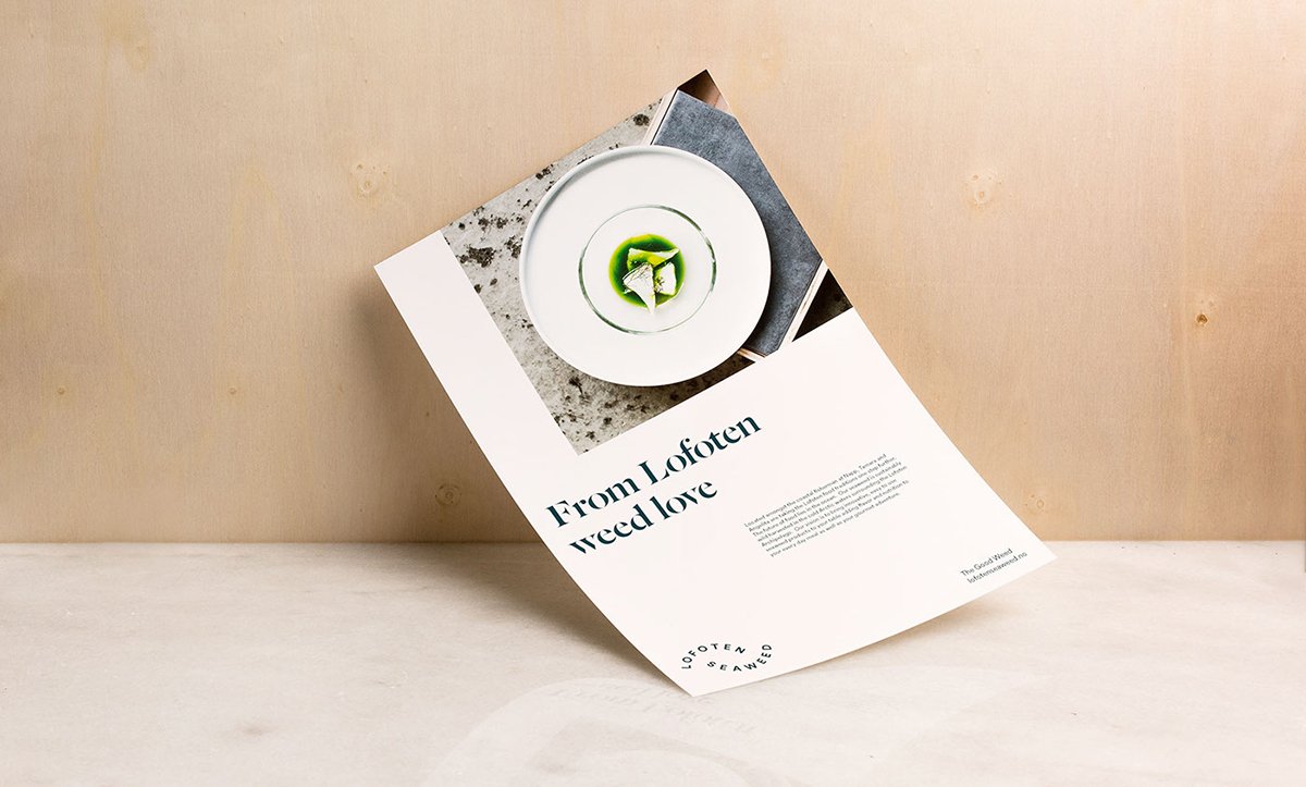 深圳VI設(shè)計(jì) 深圳VI策劃 羅弗敦海藻食品包裝形象設(shè)計(jì) 包裝設(shè)計(jì)