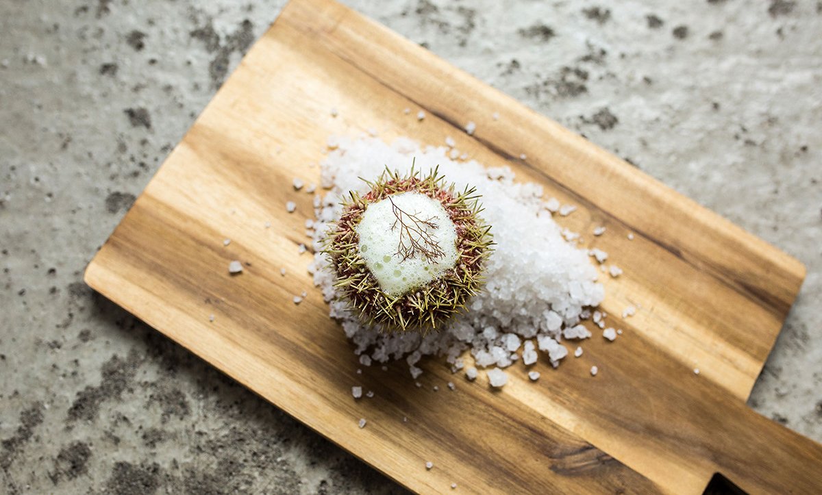 深圳VI設(shè)計(jì) 深圳VI策劃 羅弗敦海藻食品包裝形象設(shè)計(jì) 包裝設(shè)計(jì)