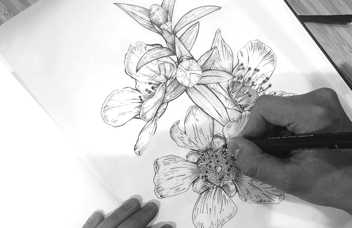 MānukaHoney蜂蜜風(fēng)味葡萄酒品牌包裝設(shè)計(jì)欣賞，葡萄酒品牌，酒品牌設(shè)計(jì)，酒品牌策劃，酒品牌全案策劃，酒品牌形象塑造，深圳品牌設(shè)計(jì)，深圳品牌策劃，深圳品牌全案策劃，深圳品牌形象塑造，左右格局