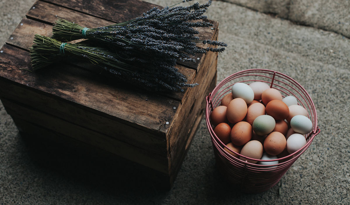 有機肥皂（日用品）品牌vi設(shè)計和包裝設(shè)計欣賞，vi設(shè)計，日化vi設(shè)計，日用品vi設(shè)計，肥皂品牌包裝設(shè)計，深圳vi設(shè)計，深圳包裝設(shè)計，左右格局