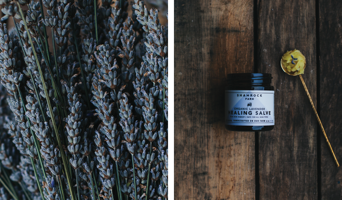 有機肥皂（日用品）品牌vi設(shè)計和包裝設(shè)計欣賞，vi設(shè)計，日化vi設(shè)計，日用品vi設(shè)計，肥皂品牌包裝設(shè)計，深圳vi設(shè)計，深圳包裝設(shè)計，左右格局