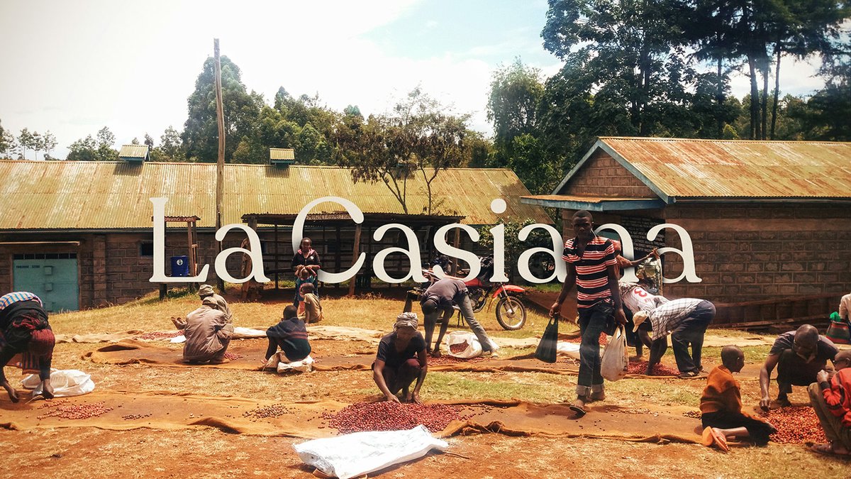 La Casiana咖啡店品牌vi設(shè)計(jì)和包裝設(shè)計(jì)，vi設(shè)計(jì)，品牌vi設(shè)計(jì)，咖啡店vi設(shè)計(jì)，咖啡店包裝設(shè)計(jì)，咖啡店品牌vi，品牌vi設(shè)計(jì)和包裝設(shè)計(jì)，深圳vi設(shè)計(jì)，左右格局