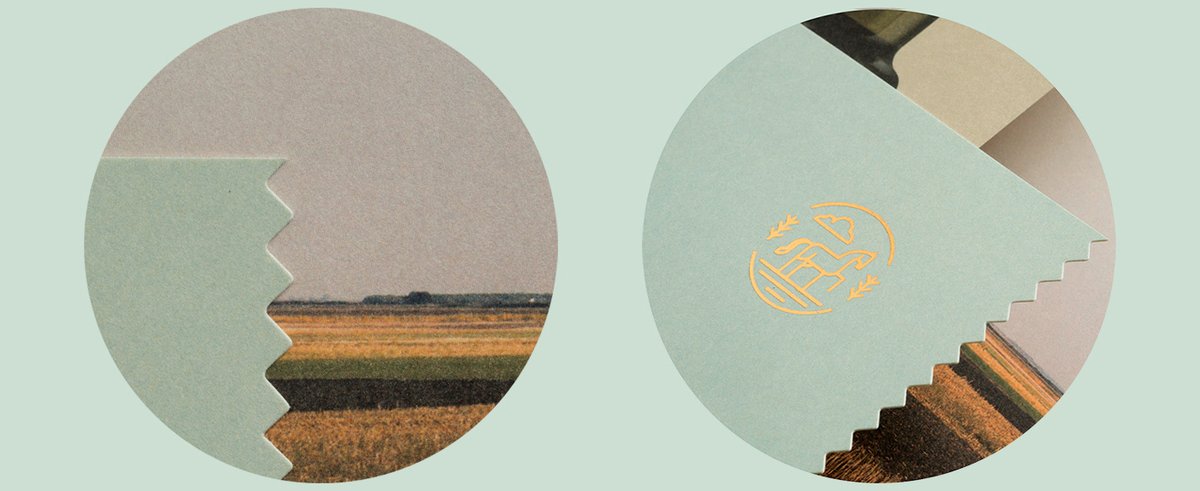 （餐飲）OLGA南瓜籽油品牌包裝vi設(shè)計(jì)欣賞，vi設(shè)計(jì)，包裝vi設(shè)計(jì)，餐飲品牌vi設(shè)計(jì)，餐飲vi設(shè)計(jì)，品牌包裝vi設(shè)計(jì)，品牌vi設(shè)計(jì)，vi品牌策劃，深圳vi設(shè)計(jì)，左右格局