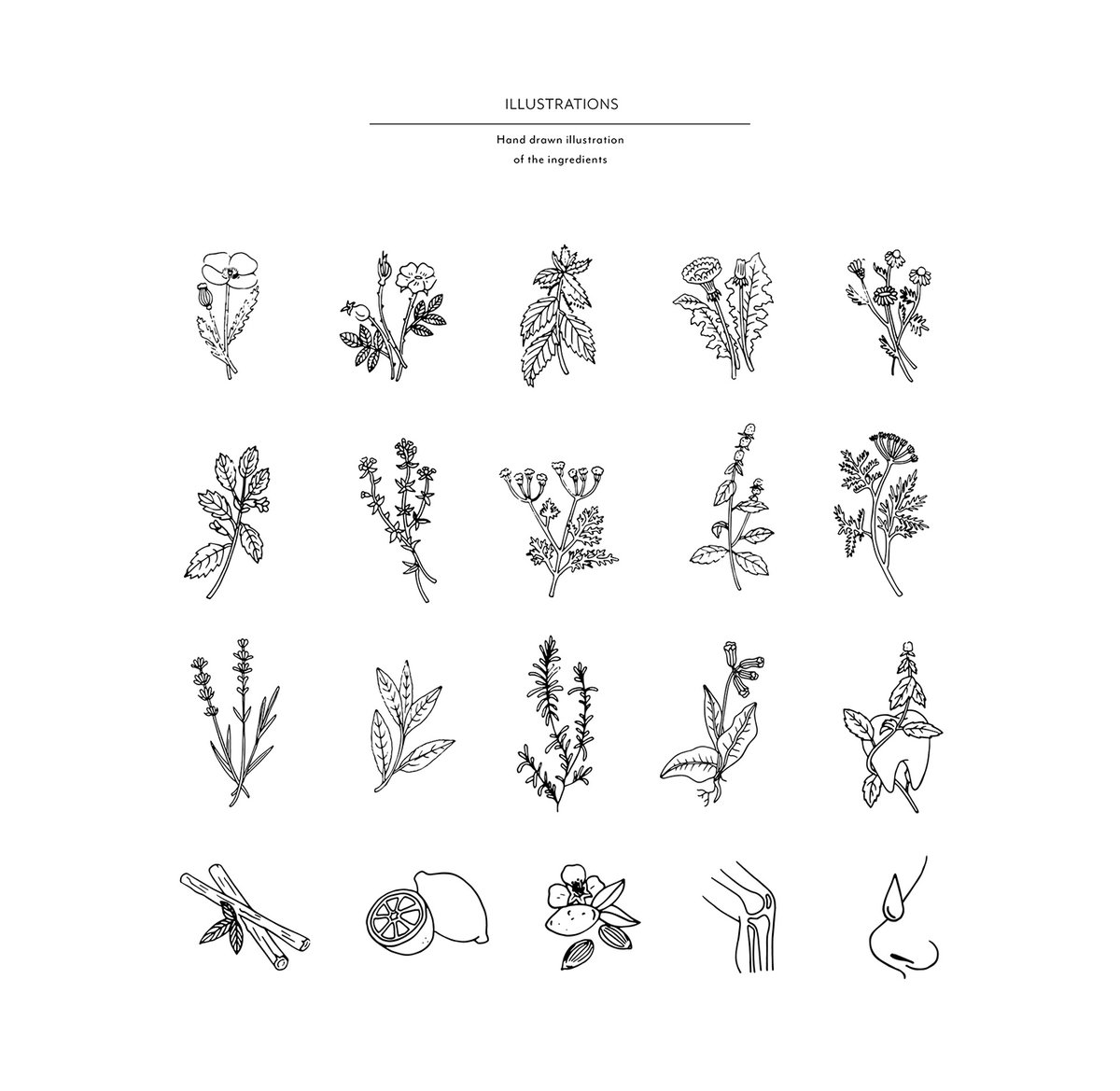 （醫(yī)療）Aeskulap 藥房企業(yè)vi設(shè)計(jì)——運(yùn)用包裝設(shè)計(jì)重塑品牌，vi設(shè)計(jì)，醫(yī)療企業(yè)vi設(shè)計(jì)，企業(yè)品牌vi設(shè)計(jì)，品牌包裝，企業(yè)vi設(shè)計(jì)，品牌策劃，深圳vi設(shè)計(jì)，左右格局