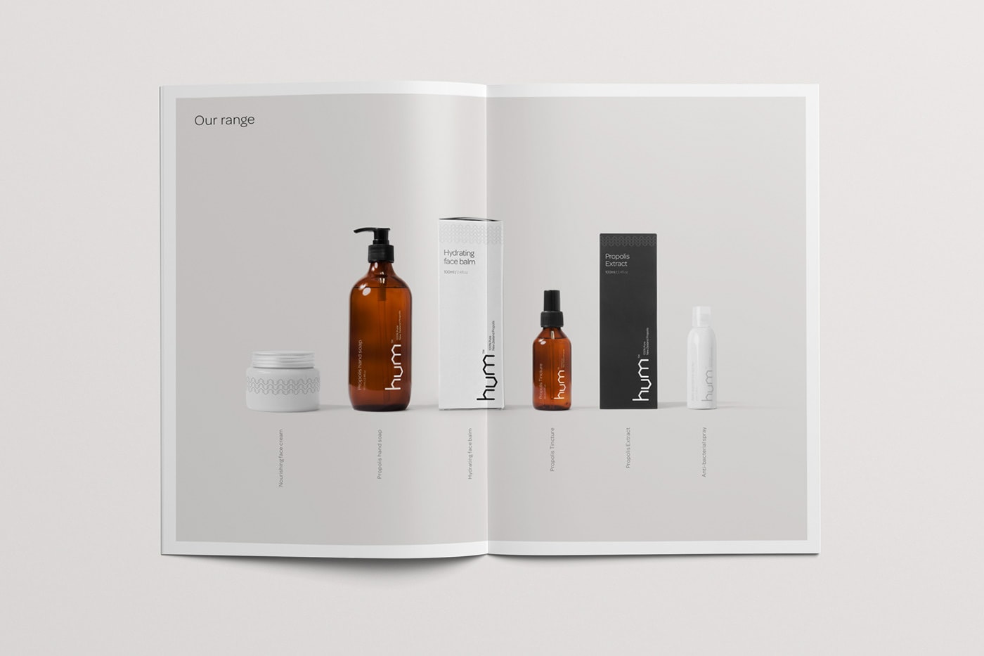 食品VI設(shè)計，保健品包裝設(shè)計，深圳VI設(shè)計，左右格局