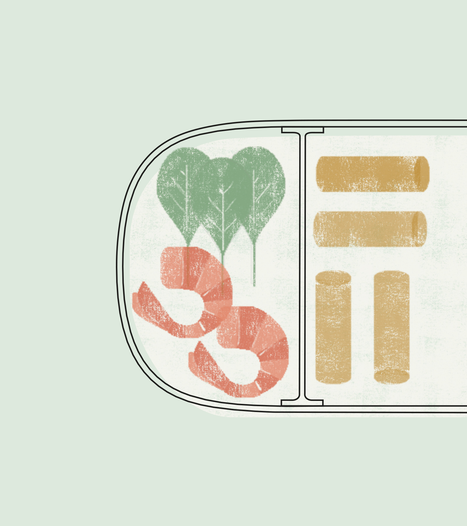 有機環(huán)保的包裝設計