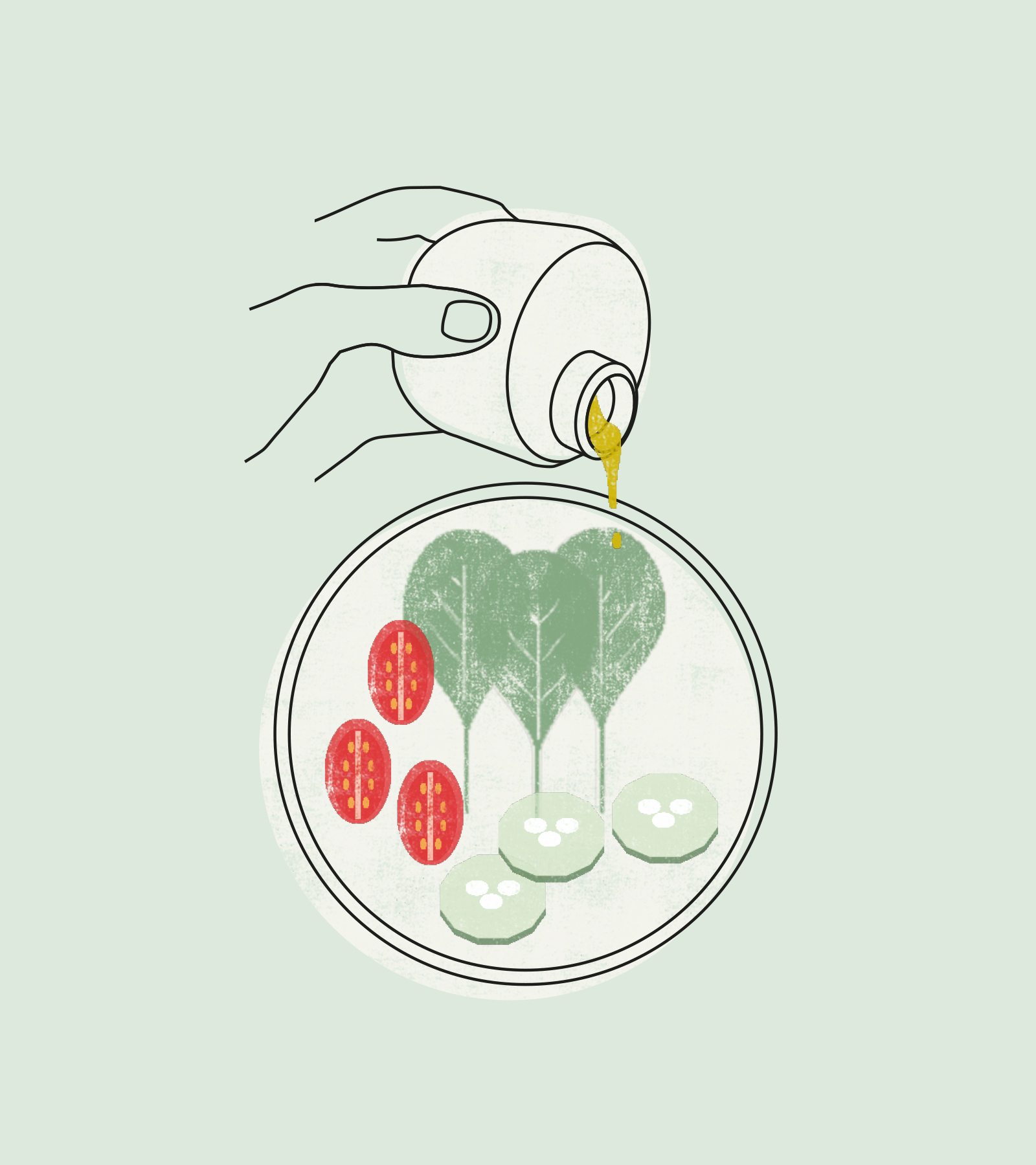 有機環(huán)保的包裝設計