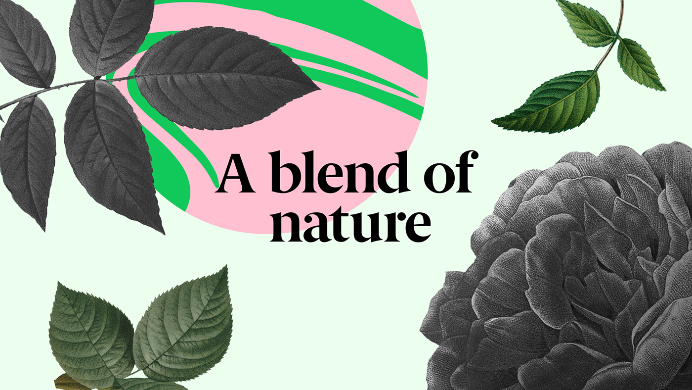 品牌包裝設(shè)計(jì):通過顏色和國(guó)圖案的創(chuàng)新設(shè)計(jì)將勇敢和創(chuàng)新帶入了品牌 品牌包裝設(shè)計(jì):通過顏色和國(guó)圖案的創(chuàng)新設(shè)計(jì)將勇敢和創(chuàng)新帶入了品牌